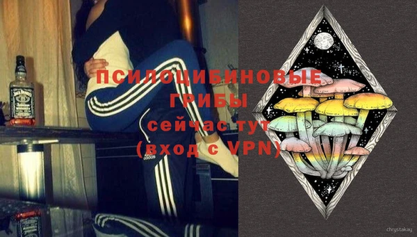 Альфа ПВП Гусев