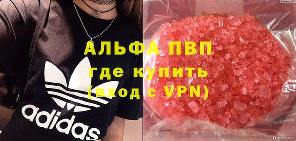 Альфа ПВП Гусев