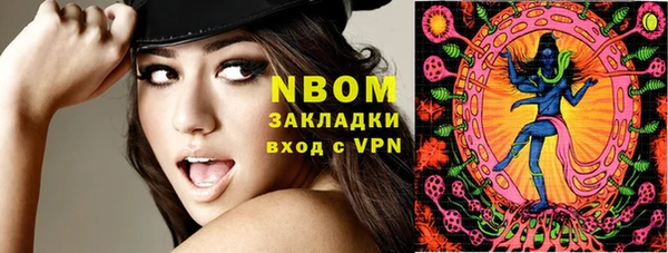 ПСИЛОЦИБИНОВЫЕ ГРИБЫ Гусь-Хрустальный