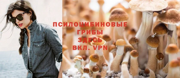 ПСИЛОЦИБИНОВЫЕ ГРИБЫ Гусь-Хрустальный