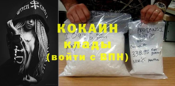 ПСИЛОЦИБИНОВЫЕ ГРИБЫ Гусь-Хрустальный
