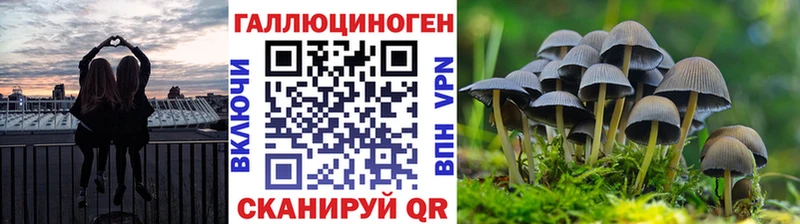 Галлюциногенные грибы Cubensis  ссылка на мегу ONION  Давлеканово 